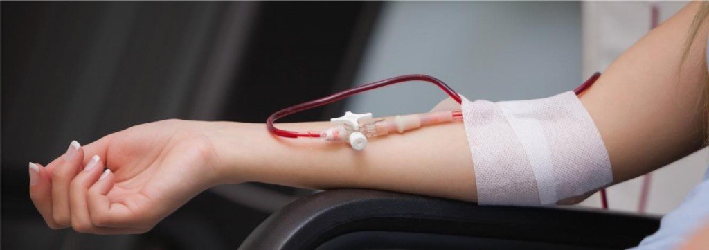 Voluntários devem doar sangue antes de tomar vacina contra a febre amarela; alerta Hemoba